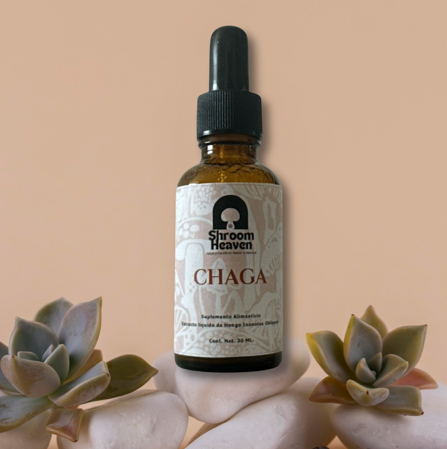 Chaga